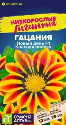 Цветы Гацания (газания) Новый день Красная полоса (5 шт) Семена Алтая Низкорослые Гиганты