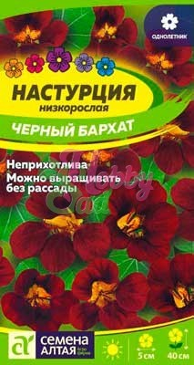 Цветы Настурция Черный Бархат низкорослая (1 г) Семена Алтая серия