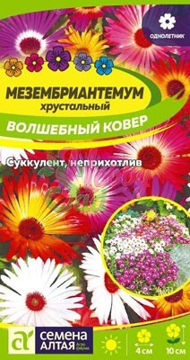 Цветы Мезембриантемум Волшебный ковер (0,1 г) Семена Алтая