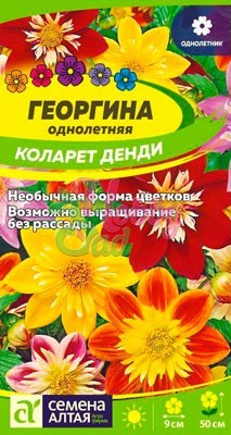Цветы Георгина Коларет Денди (0,3 г) Семена Алтая