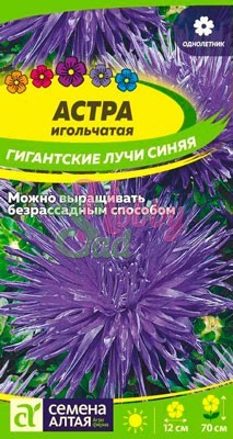 Цветы Астра Гигантские лучи Синяя (0,2 гр) Семена Алтая