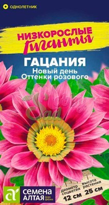 Цветы Гацания (газания) Новый день Оттенки розового (5 шт) Семена Алтая Низкорослые гиганты