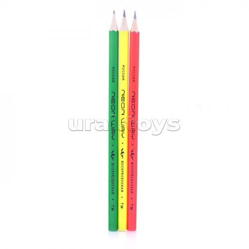 Набор графитных карандашей ОПП неон заточенный ТМ (HB) 