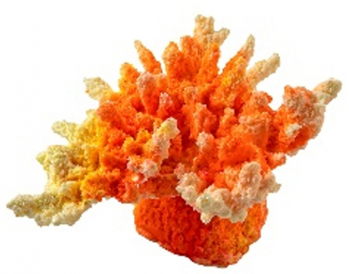 Россия Коралл корона акрил, 13*10*6.5 (св-оранжевый, Кр-251)