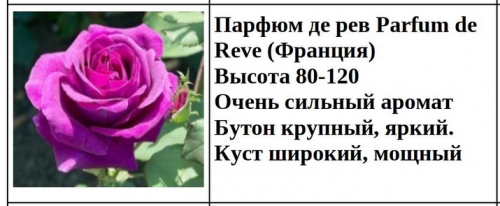 Парфюм де рев Parfum de Reve (Франция)