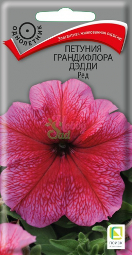 Цветы Петуния Дэдди Ред грандифлора (10 шт) Поиск