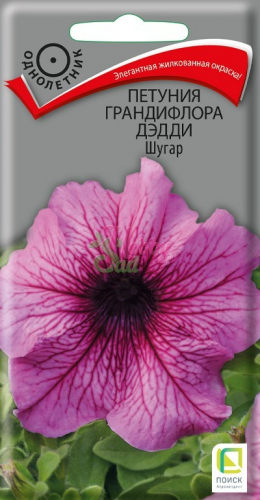 Цветы Петуния Дэдди Шугар грандифлора (10 шт) Поиск