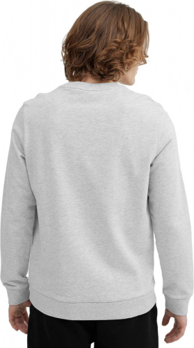 Джемпер мужской SWEATSHIRT  M349, 4F