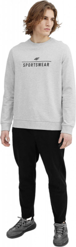 Джемпер мужской SWEATSHIRT  M349, 4F