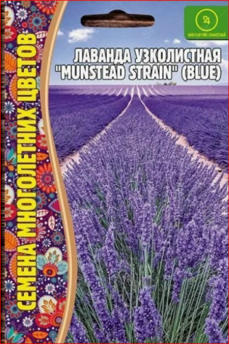 27 р.37 р.Семена Лаванда узколистная Munstead strain (blue) 30 сем.