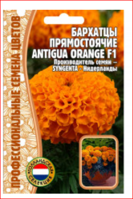 63 р.65 р.Семена Бархатцы прямостоячие Antigua Orange F1 - 5 сем.уп