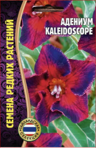 Семена Адениум Kaleidoscope (3 шт. уп)
