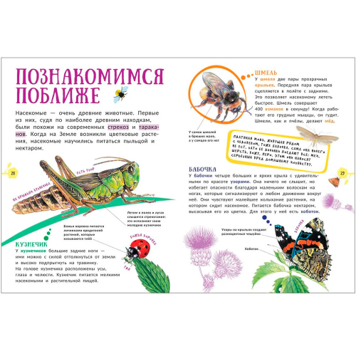 Книга 978-5-353-09908-6 Животные. Гигантская энциклопедия для самых маленьких в Нижнем Новгороде
