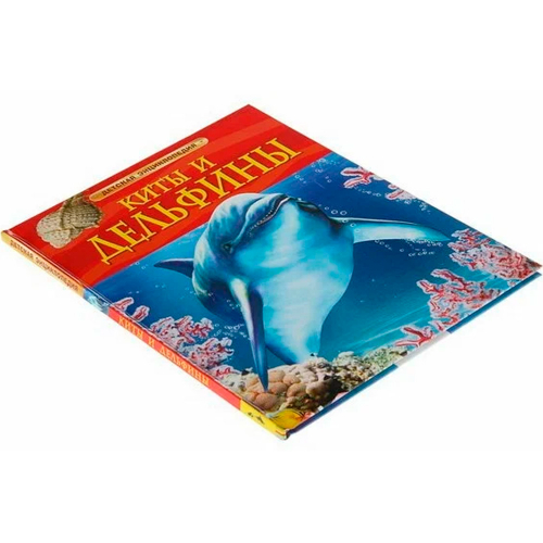 Книга 978-5-353-05767-3 Киты и дельфины.Детская энциклопедия в Нижнем Новгороде