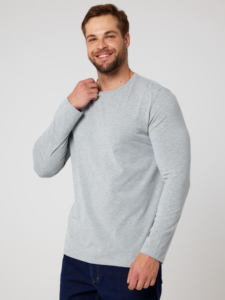 490720 Футболка мужская арт. 02245