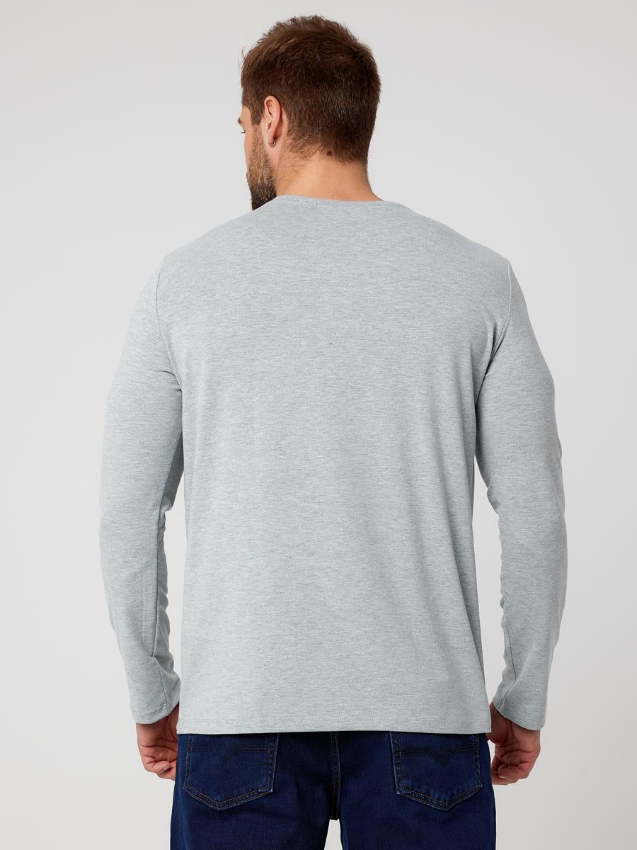 490720 Футболка мужская арт. 02245