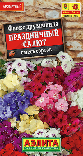 Флокс Праздничный салют, смесь сортов ---   Одн