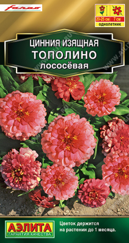 Цинния Тополино лососевая ---   Одн Сел. Farao Золотая серия