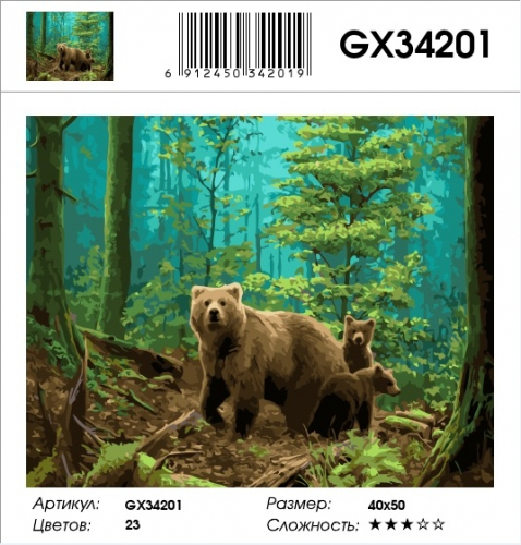 GX 34201 Картины 40х50 GX и US