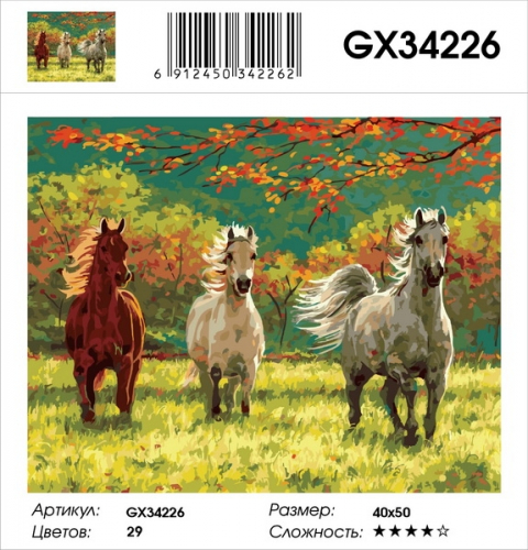 GX 34226 Картины 40х50 GX и US