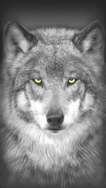 Полотенце банное