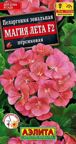 1668 Пеларгония Магия лета F2 персиковая 5 шт
