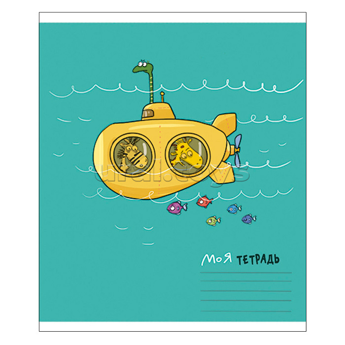 Тетрадь 12л. клетка А5 S