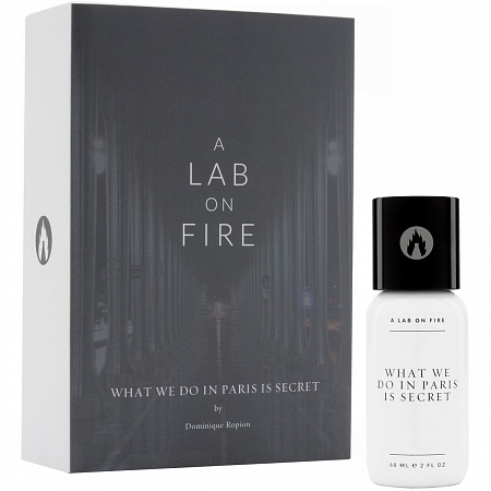 A LAB ON FIRE WHAT WE DO IN PARIS IS SECRET edp