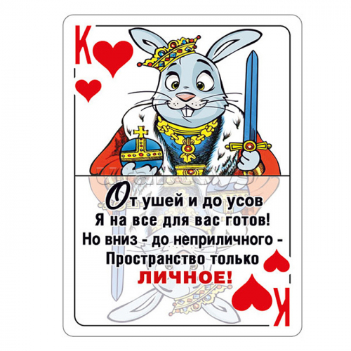 Виниловый магнит 