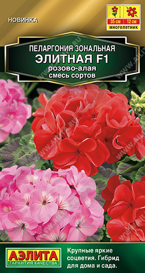 Цветы Пеларгония Элитная F1 Розово-алая 5 шт ц/п Аэлита (комн.)