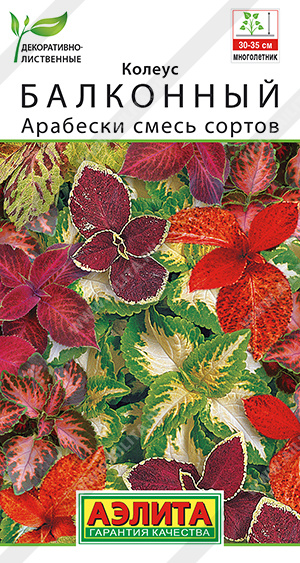 Цветы Колеус Балконный Арабески, смесь 5 шт ц/п Аэлита (комн.)