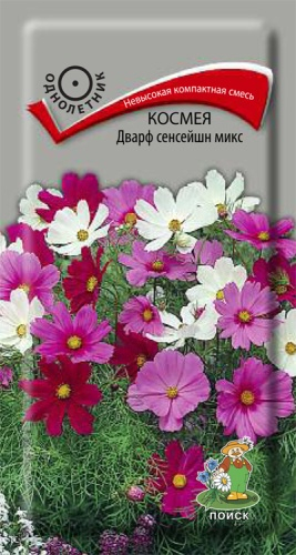 Цветы Космея Дварф Сенсейшн микс 0,2 г ц/п Поиск, низкорослая (однол.)