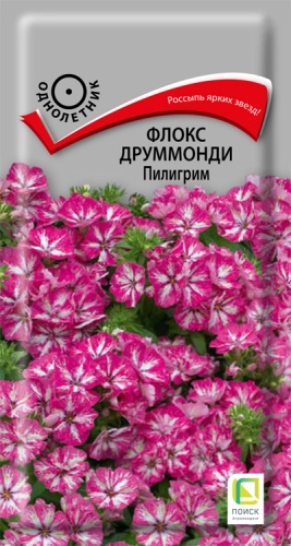 Цветы Флокс друмм. Пилигрим 0,1 г ц/п Поиск (однол.)