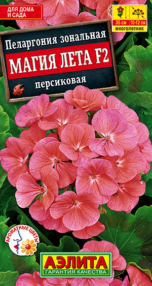 Цветы Пеларгония Магия лета Персиковая F2, 5 шт ц/п Аэлита (комн.)