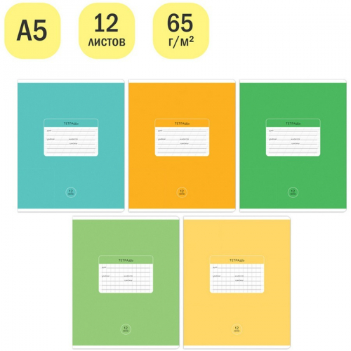 Тетрадь 12л крупная клетка Однотонная. Классическая Т12ккС_43290