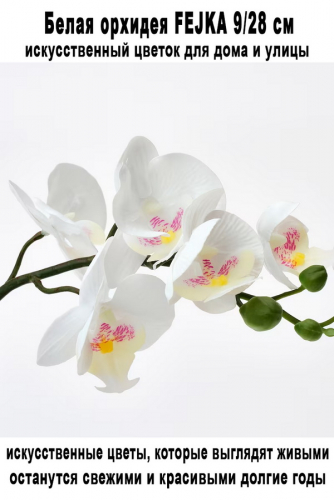 Орхидея FEJKA 9-28 см