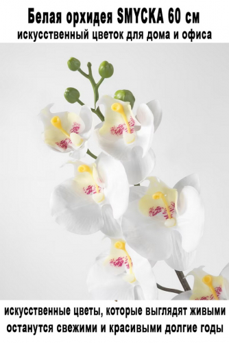 Орхидея SMYCKA 60 см