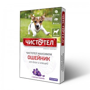Чистотел Максимум, Ошейник от блох и клещей для собак, фиолетовый, 65 см