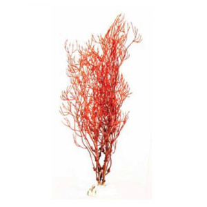 BARBUS 032/30 см Plant красное растение