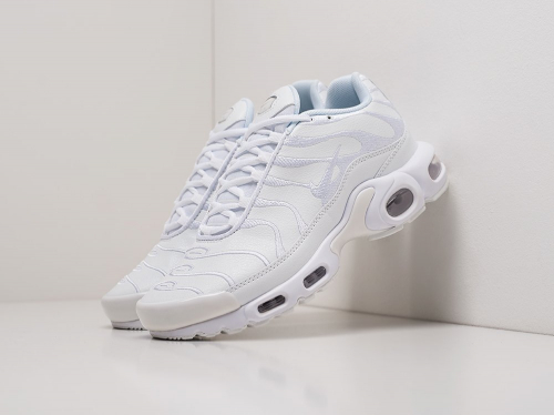 Кроссовки Nike Air Max Plus