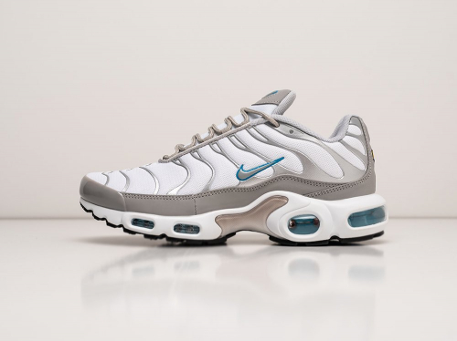 Кроссовки Nike Air Max Plus TN