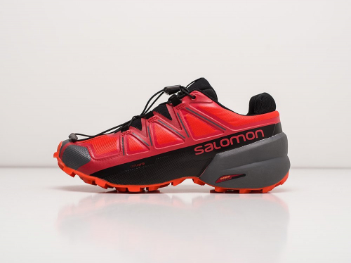 Кроссовки Salomon SPEEDCROSS 5 GTX