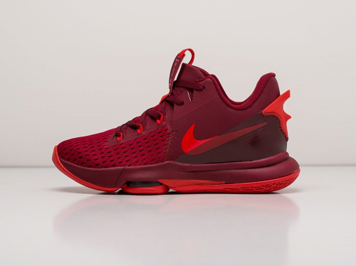 Кроссовки Nike Lebron Witness V