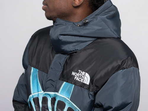 Куртка зимняя The North Face x Supreme