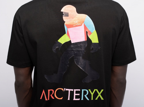 Футболка Arcteryx