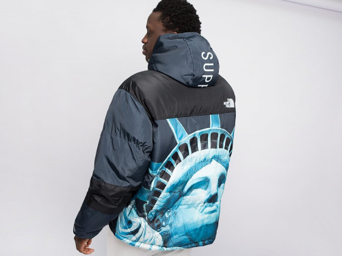 Куртка зимняя The North Face x Supreme