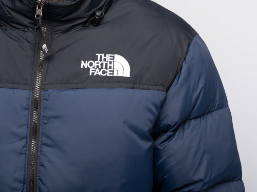 Куртка зимняя The North Face