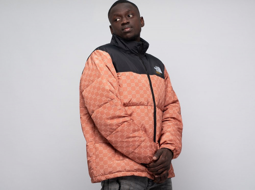 Куртка The North Face x Gucci