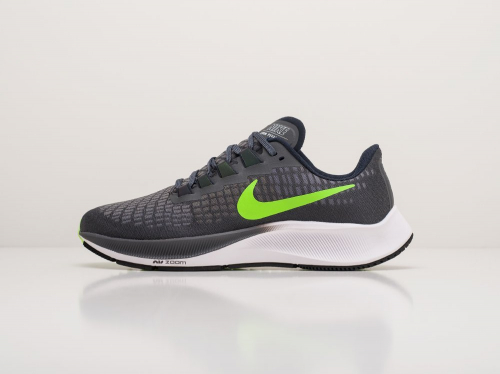 Кроссовки Nike Zoom Pegasus 37