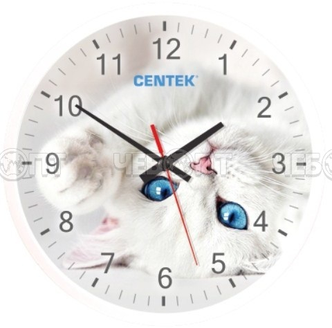 Часы настенные CENTEK CT-7104 с рисунком из пластика d - 250 мм [10]